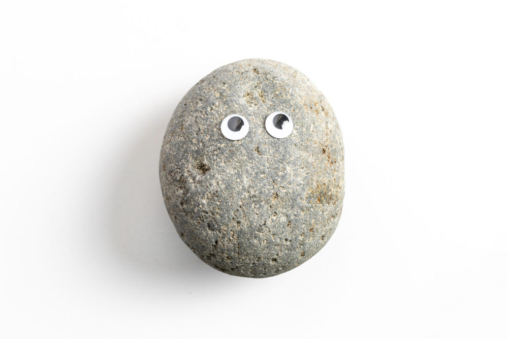 Patentes-y-Marcas-exitosas-Petrock